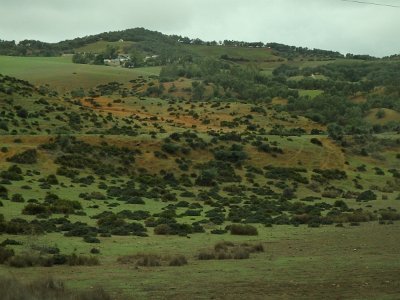 ToChaouen (241)