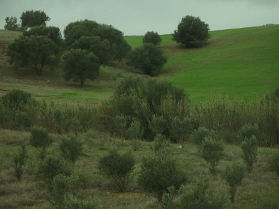 ToChaouen (249)