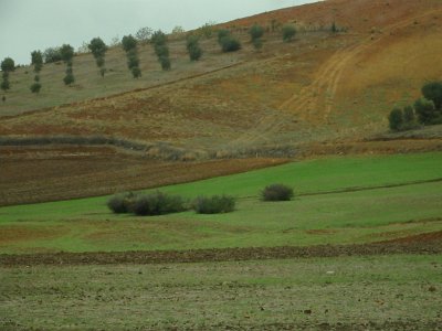 ToChaouen (257)