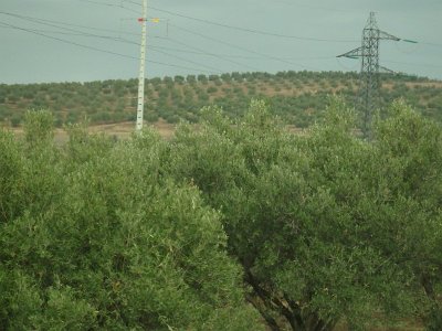 ToChaouen (26)