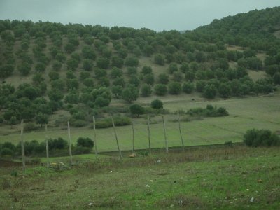 ToChaouen (260)