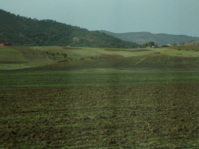 ToChaouen (277)