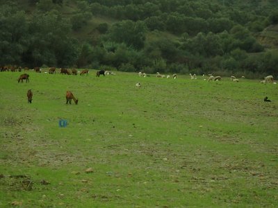 ToChaouen (283)