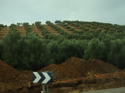 ToChaouen (29)