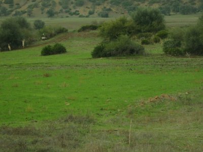 ToChaouen (295)