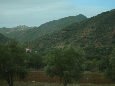 ToChaouen (300)