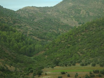 ToChaouen (303)