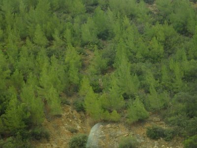 ToChaouen (305)