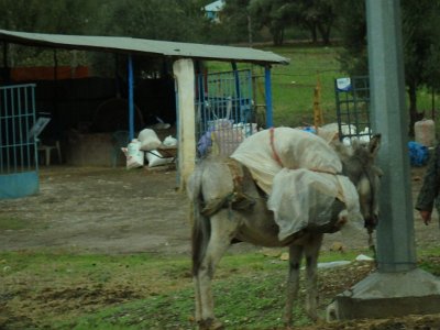 ToChaouen (307)