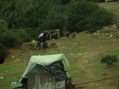 ToChaouen (316)