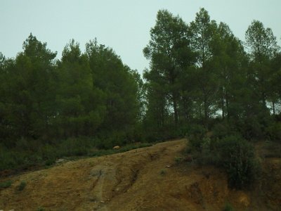 ToChaouen (322)