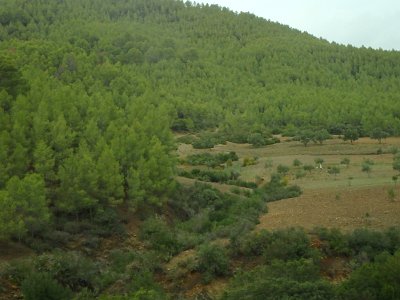 ToChaouen (324)