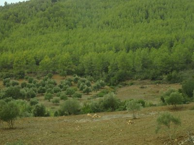 ToChaouen (325)