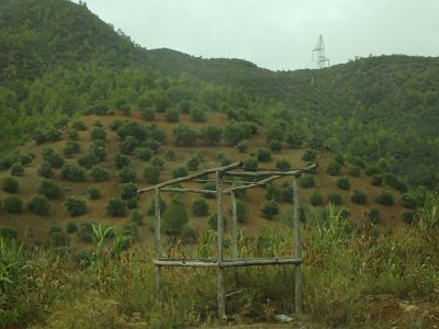 ToChaouen (327)