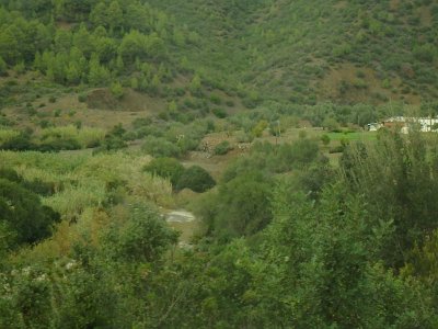 ToChaouen (328)