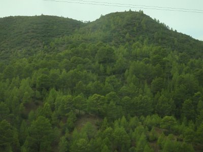 ToChaouen (329)