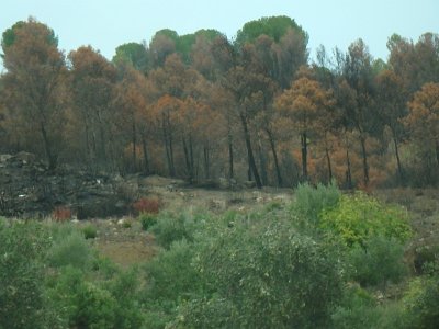 ToChaouen (332)