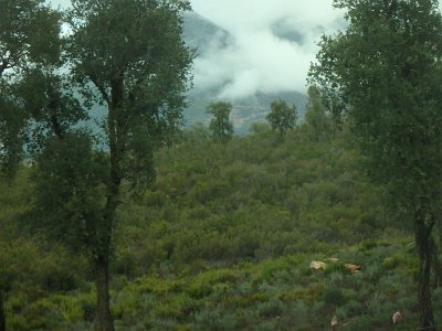 ToChaouen (336)