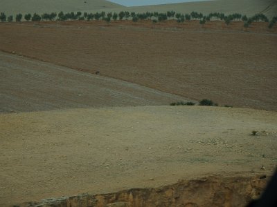 ToChaouen (35)