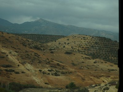 ToChaouen (44)