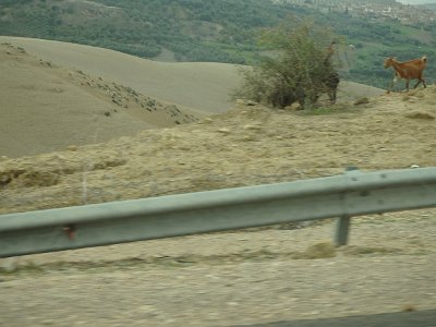 ToChaouen (53)