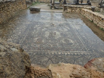 Volubilis (10)