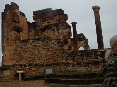 Volubilis (100)