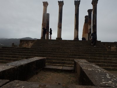 Volubilis (103)