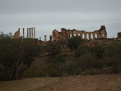 Volubilis (107)