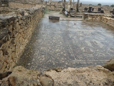 Volubilis (13)