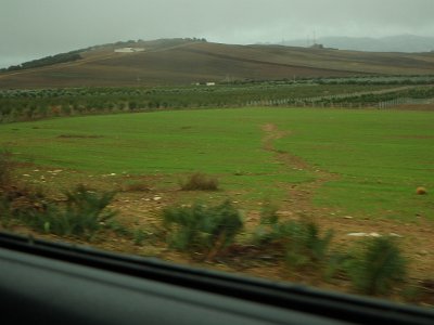 Volubilis (130)