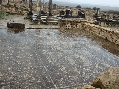 Volubilis (14)