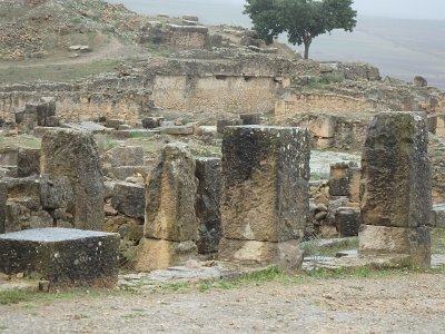 Volubilis (15)