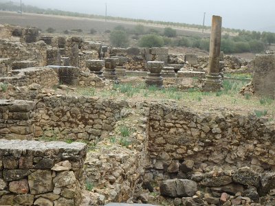 Volubilis (16)