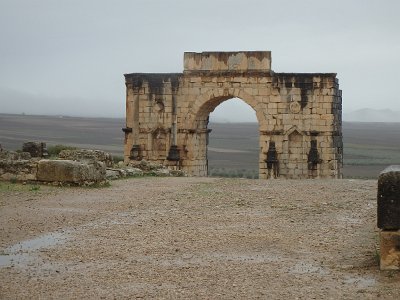 Volubilis (17)