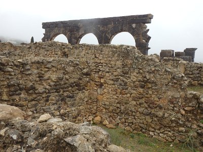 Volubilis (19)