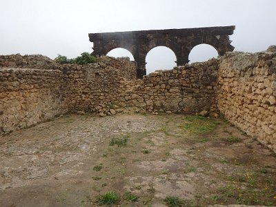 Volubilis (21)