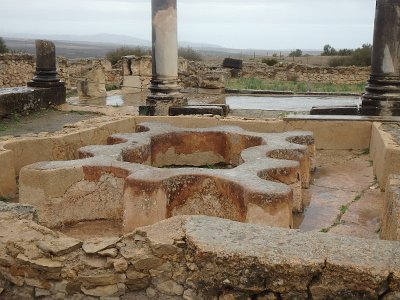 Volubilis (23)