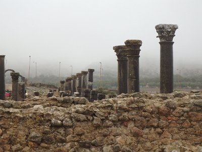 Volubilis (24)