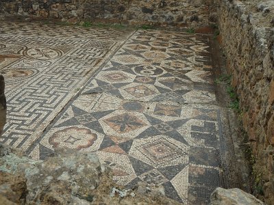 Volubilis (25)