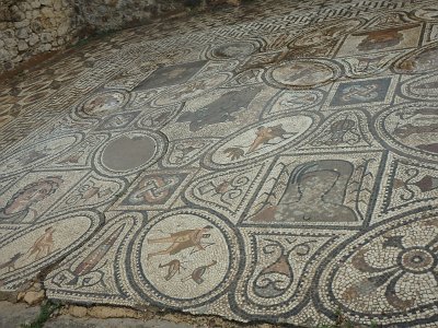 Volubilis (26)