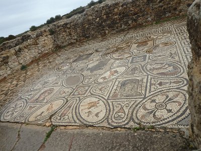 Volubilis (27)