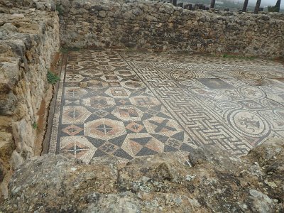 Volubilis (28)