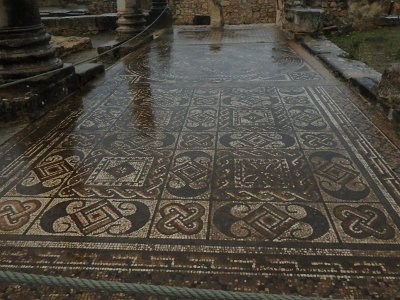 Volubilis (31)