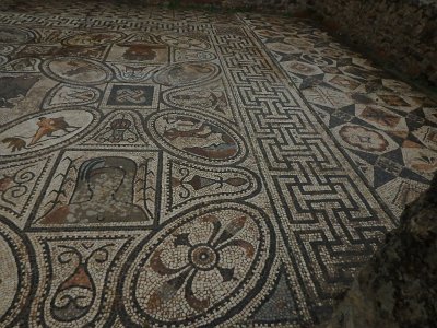 Volubilis (37)