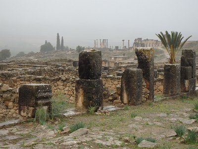 Volubilis (4)