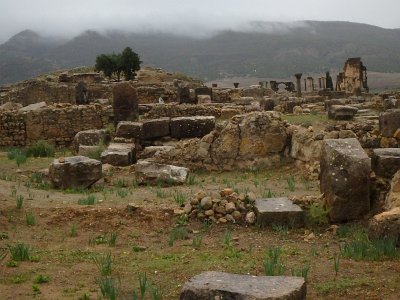 Volubilis (47)