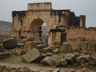 Volubilis (48)