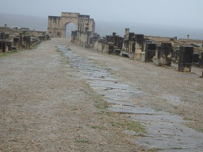 Volubilis (5)