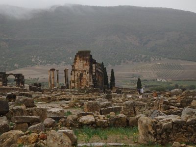 Volubilis (53)